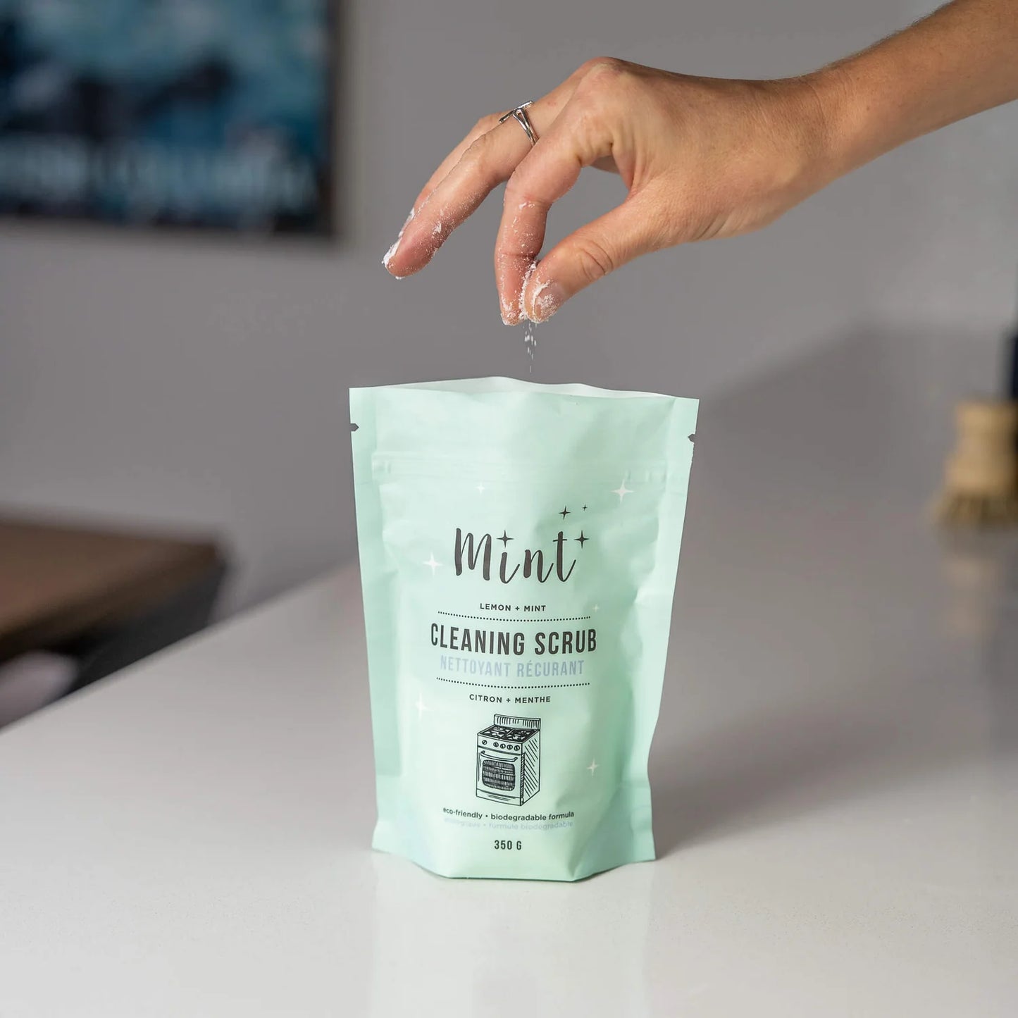 Cleaning Scrub - 350g Bag Lemon Mint