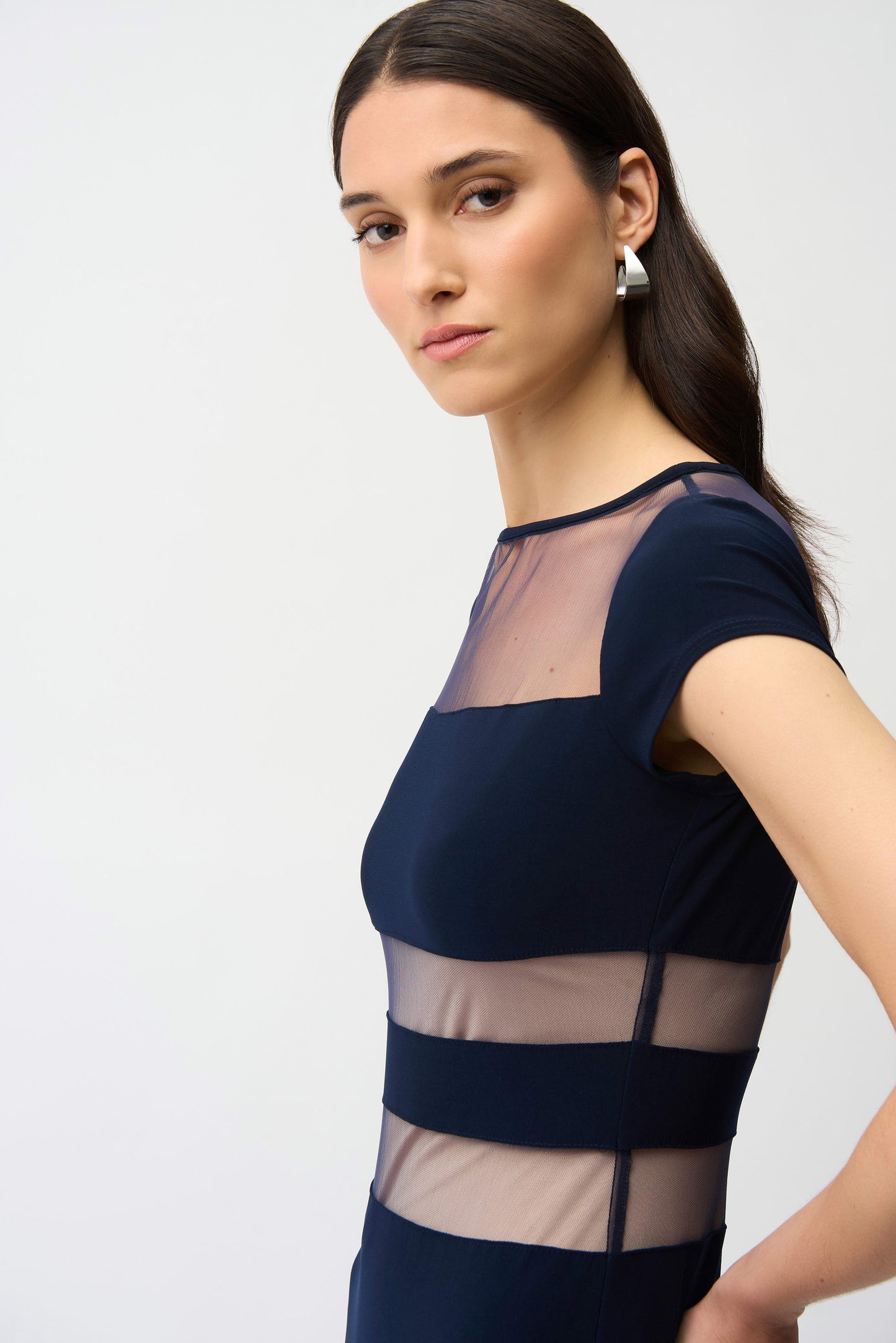 Silky Knit Fit and Flare With Mesh Inserts - Joseph Ribkoff Dress
