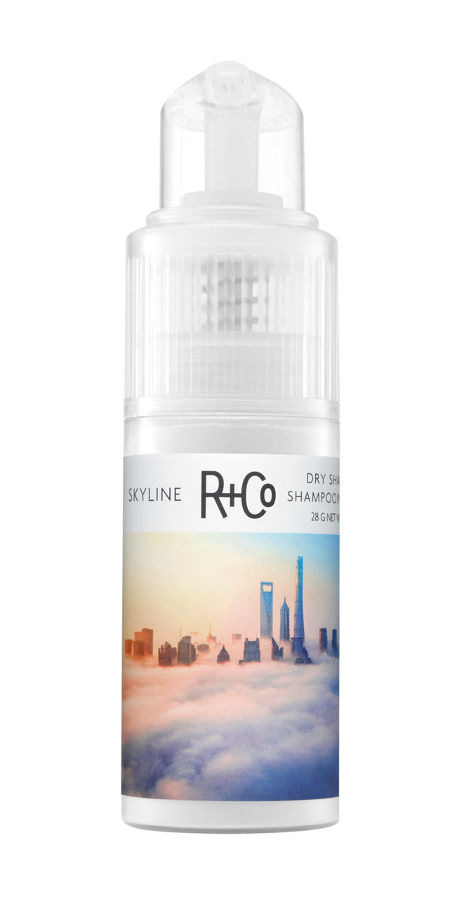 SKYLINE Dry Shampoo Powder